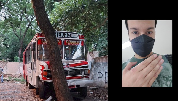 ¡No es un problema pasajero! Frenó por un árbol