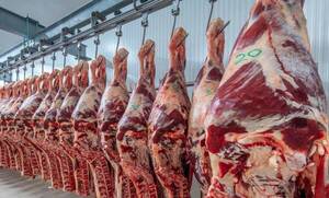 Basanomics advierte que el conflicto entre Rusia y Ucrania puede afectar exportación de carne