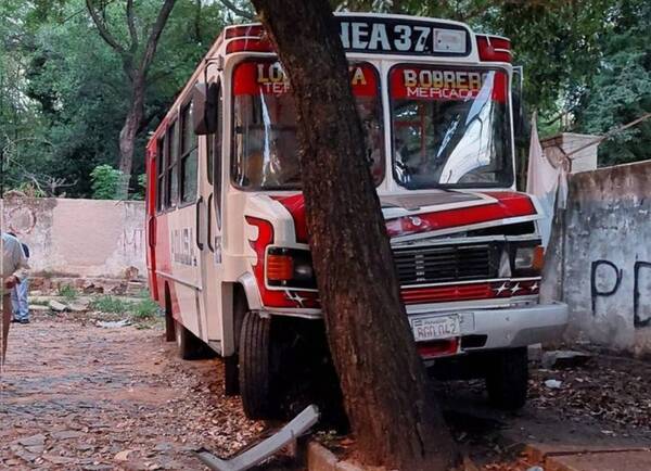 Crónica / Pasajero se atajó fuerte para no "volar" en micro que "frenó" por un árbol