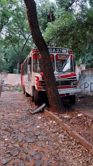 Bus de empresa que había subido el precio del pasaje pierde los frenos y choca contra un árbol - Nacionales - ABC Color