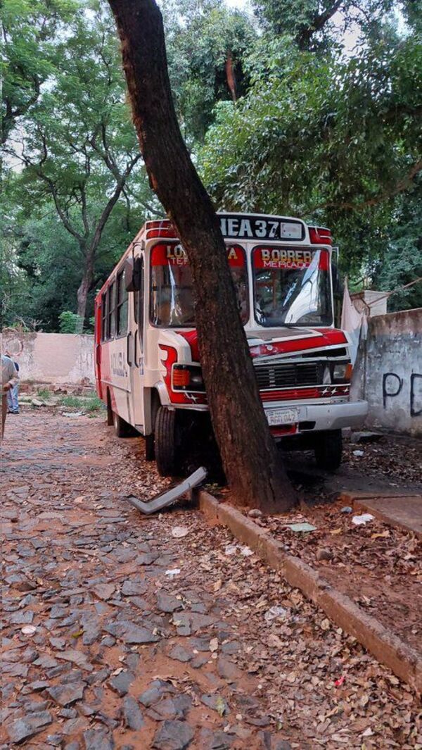 Bus de empresa que había subido el precio del pasaje pierde los frenos y choca contra un árbol - Nacionales - ABC Color