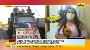 Marito podría derogar decreto de Cartes para dar mayor protagonismo a Petropar - ABC Noticias - ABC Color