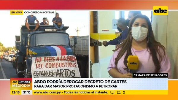 Marito podría derogar decreto de Cartes para dar mayor protagonismo a Petropar - ABC Noticias - ABC Color