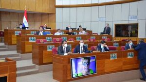 Senado y Gobierno analizan eliminar impuesto y redireccionar recursos a Petropar