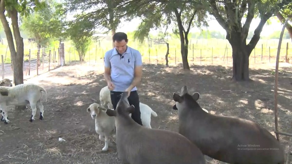 Más de 1.000 animales en ecoturismo Lluvia de Oro, un atractivo en el Chaco Central