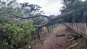 Tormenta causó sarambi en Misiones: varias casas quedaron sin techo