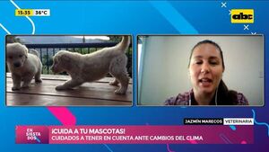Cuidados de mascotas ante cambios climáticos - Ensiestados - ABC Color