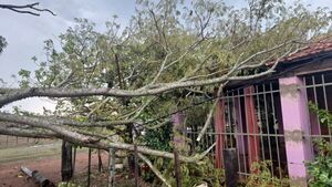 Fuerte temporal causa destrozos en Misiones