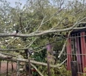 Fuerte temporal ocasiona destrozos en Misiones - Paraguay.com