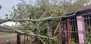 Misiones: Importante destrozos tras fuerte temporal | Noticias Paraguay