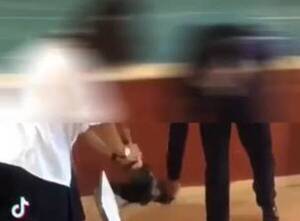 Crónica / Causa indignación video en el que se ve cómo alumnos matan a una gallina