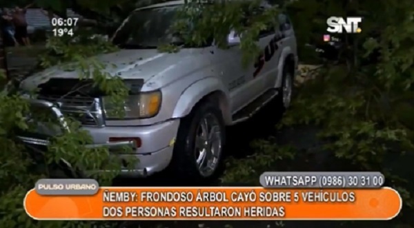 Árbol cae sobre cinco vehículos y deja dos heridos en Ñemby