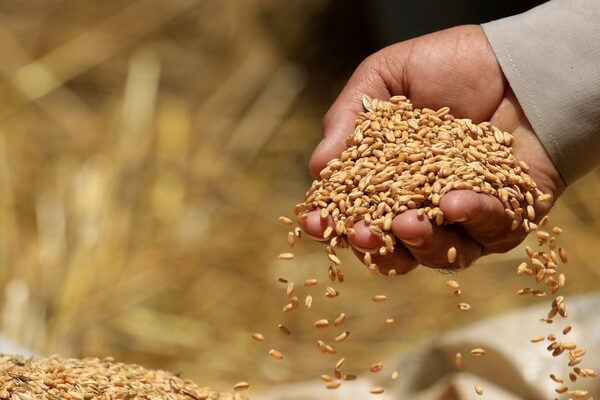 Argentina eleva el registro de exportaciones de trigo a 10 millones de toneladas - MarketData