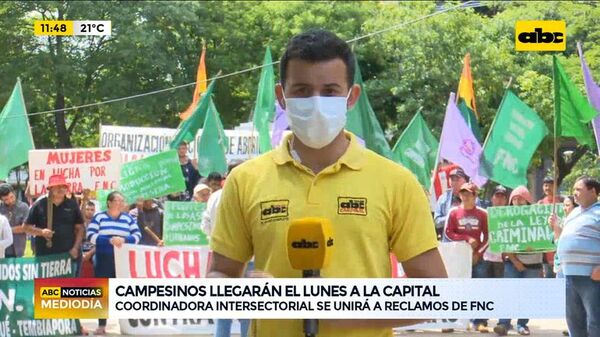 Campesinos llegarán el lunes a la Capital - ABC Noticias - ABC Color