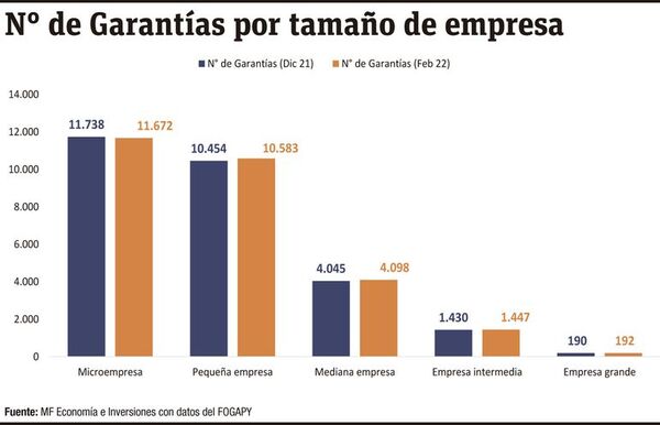 Fondo de Garantías del Paraguay: Mipymes y evolución del instrumento financiero - Económico - ABC Color