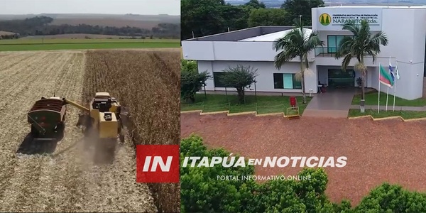 REVALIDACIÓN CERTIFICADO AMBIENTAL DE LA COOP. NARANJITO - Itapúa Noticias