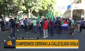 Marcha campesina se intensifica desde este lunes | Telefuturo