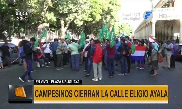 Marcha campesina se intensifica desde este lunes | Telefuturo