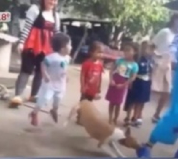 Caaguazú: Un perro mordió en pleno show a un payaso - Paraguay.com