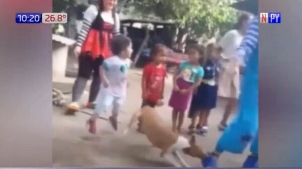 ¡Y así que chiste! Un perro mordió en pleno show a un payaso | Noticias Paraguay