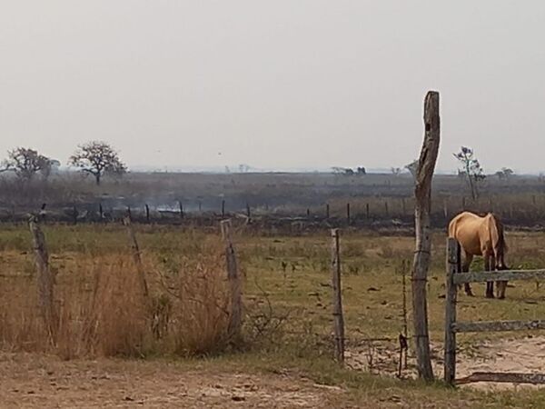 La sequía sigue golpeando con fuerza a varios distritos de Ñeembucú - Nacionales - ABC Color