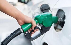 Para ARP, medidas del Gobierno sobre el combustible son “improvisadas”