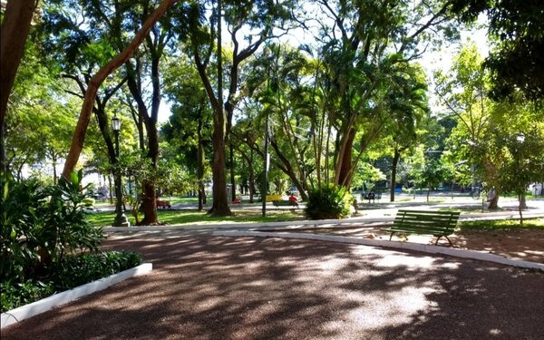 Permiten el ingreso de campesinos a la Plaza Uruguaya con el compromiso de cuidar el predio