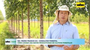 Fertilización en producción forestal, algo no habitual - ABC Rural - ABC Color