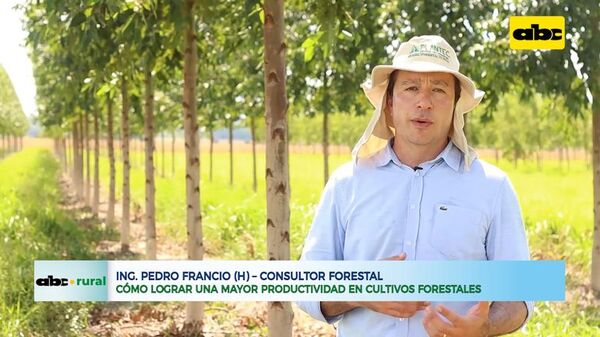 Fertilización en producción forestal, algo no habitual - ABC Rural - ABC Color