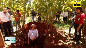 Unique Wood, una historia, trabajo y visión, apostando al sector forestal - ABC Rural - ABC Color