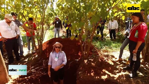 Unique Wood, una historia, trabajo y visión, apostando al sector forestal - ABC Rural - ABC Color