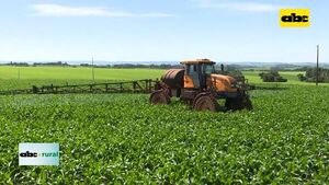 Presentaron herbicida para control de malezas en maíz - ABC Rural - ABC Color