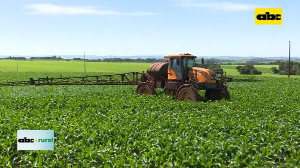 Presentaron herbicida para control de malezas en maíz - ABC Rural - ABC Color