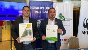 Día de los Bosques: lanzan campaña de reforestación - Nacionales - ABC Color