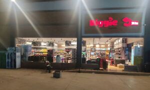 Cuatro ladrones asaltan una tienda de Biggie en San Lorenzo - Nacionales - ABC Color