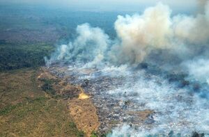 Universidad de Girona implementa sistema saneamiento de aguas en el Amazonas - Ciencia - ABC Color