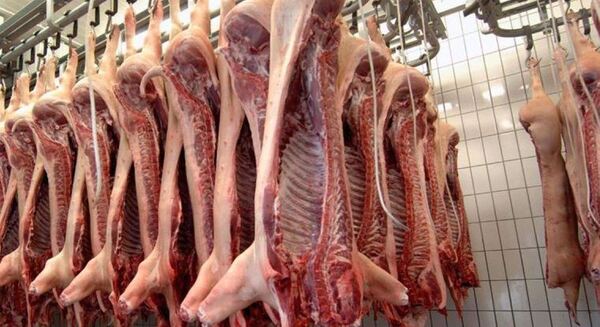 Avanza proceso de habilitación para exportar carne porcina a Taiwán