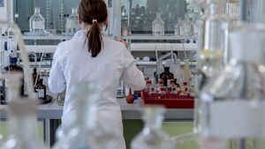 Médula ósea está implicada en el desarrollo de la aterosclerosis