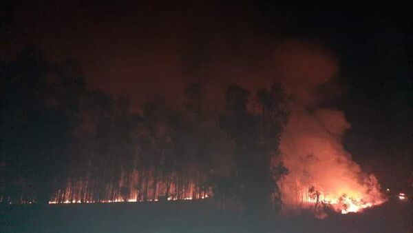 Convocan a conformar la Brigada de Bomberos Forestales - Nacionales - ABC Color