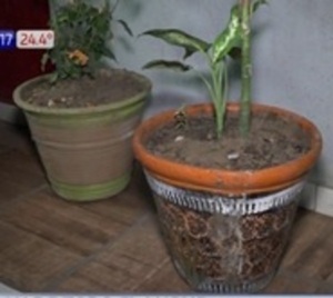 Vecinos reducen a supuesto ratero en Luque  - Paraguay.com