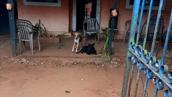 Denuncian a un hombre por supuesto caso de zoofilia