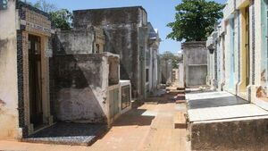 Cementerio del Este recibe tres a cuatro cuerpos NN por semana
