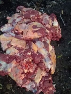 Asaltaron estancia, robaron y faenaron vacunos