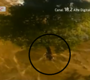 Heroico rescate a un niño arrastrado por el raudal - Paraguay.com