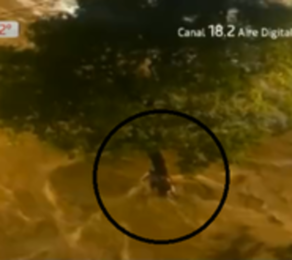 Heroico rescate a un niño arrastrado por el raudal - Paraguay.com