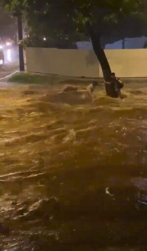 Váiro temporal arrasó con todo a su paso en Asunción y alrededores
