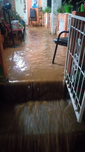 Temporal derribó muralla e inundó una casa en Ñemby - Nacionales - ABC Color