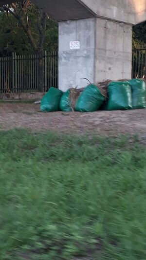 Comuna no retira bolsas de basura  bajo viaductos del Botánico - Nacionales - ABC Color