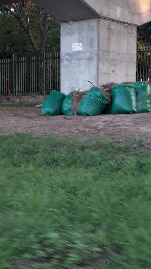 Comuna no retira bolsas de basura bajo viaductos del Botánico - Nacionales - ABC Color