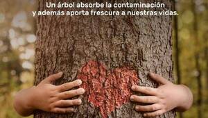VCP Sociedad: Aire que reforesta & espacios con luz y vida